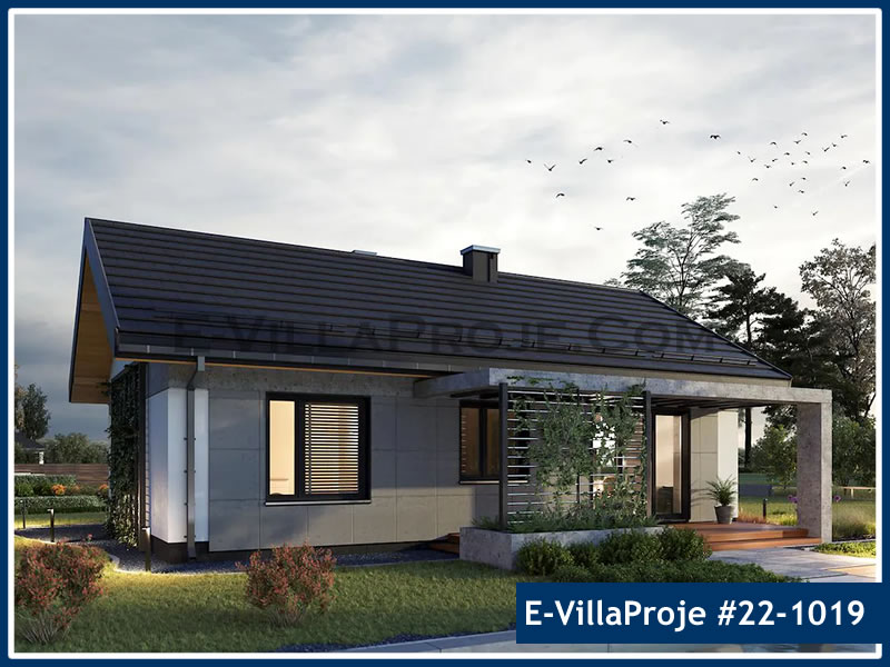 Ev Villa Proje #22 - 1019 Detay 5