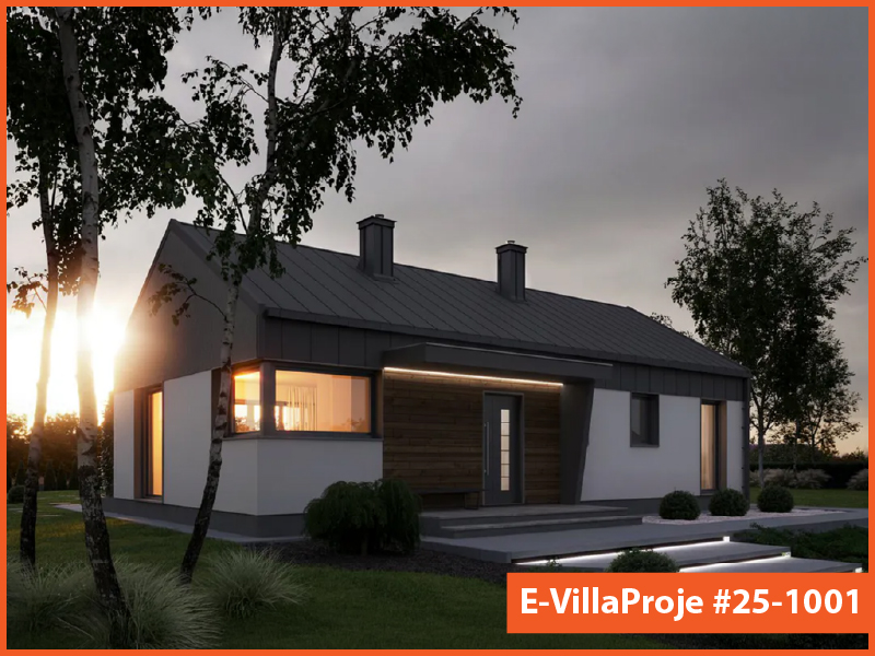 Ev Villa Proje #25 - 1001 Detay 7