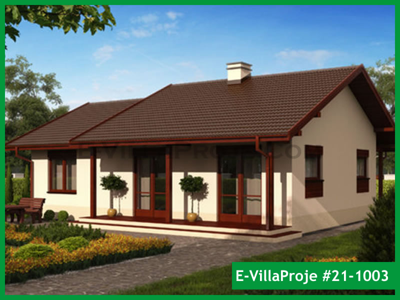 Ev Villa Proje #21 - 1003 Detay 3