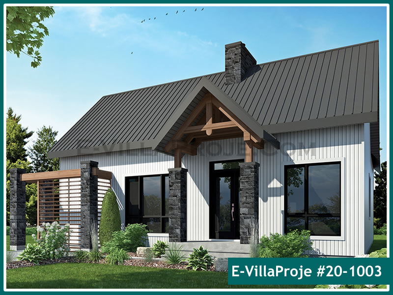 Ev Villa Proje #20 - 1003 Detay 3