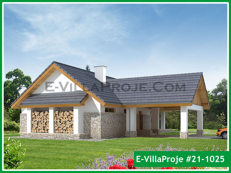 Ev Villa Proje #21 - 1025 Detay 3