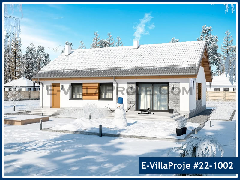 Ev Villa Proje #22 - 1002 Detay 3