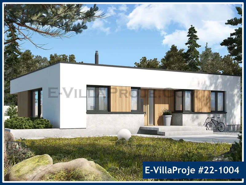 Ev Villa Proje #22 - 1004 Detay 4