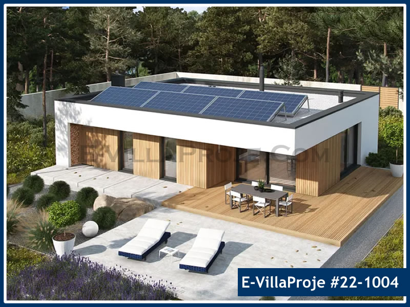 Ev Villa Proje #22 - 1004 Detay 5