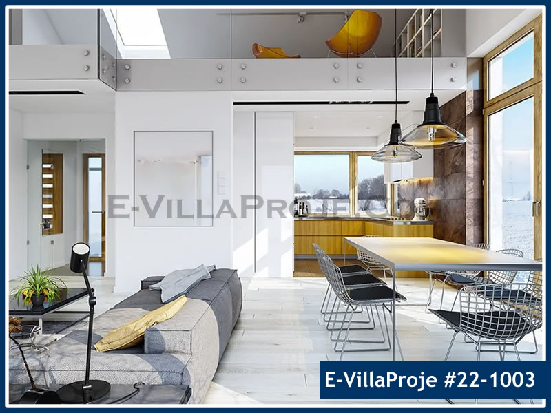 Ev Villa Proje #22 - 1003 Detay 7