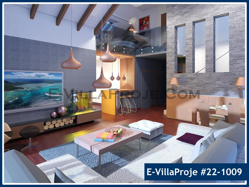 Ev Villa Proje #22 - 1009 Detay 6