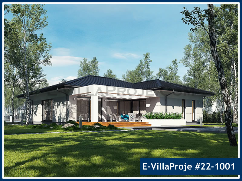 Ev Villa Proje #22 - 1001 Detay 5