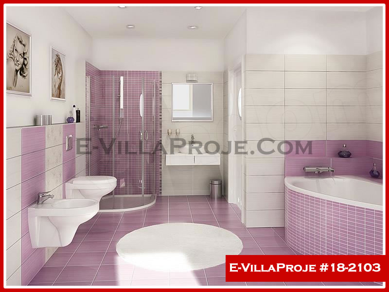 Ev Villa Proje #18 - 2103 Detay 9