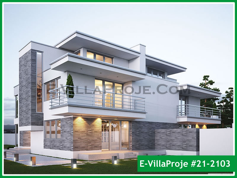 Ev Villa Proje #21 - 2103 Detay 6