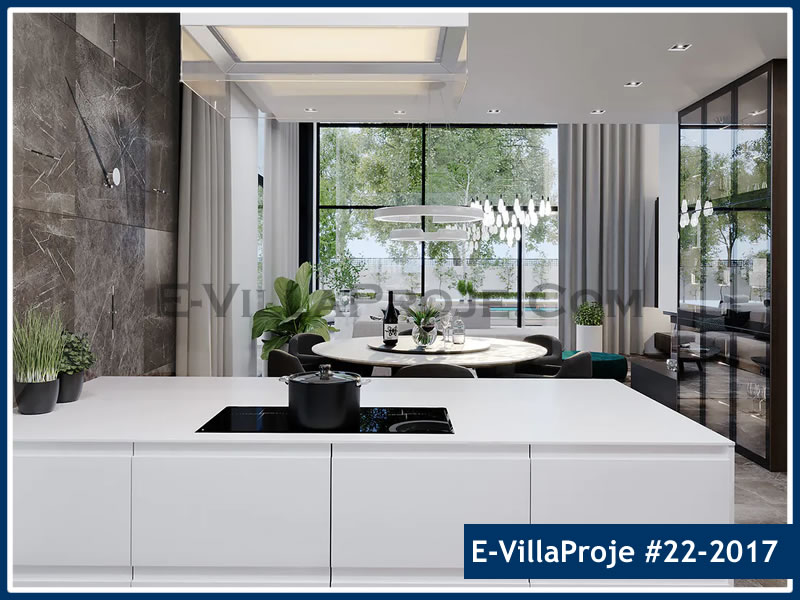 Ev Villa Proje #22 - 2017 Detay 13